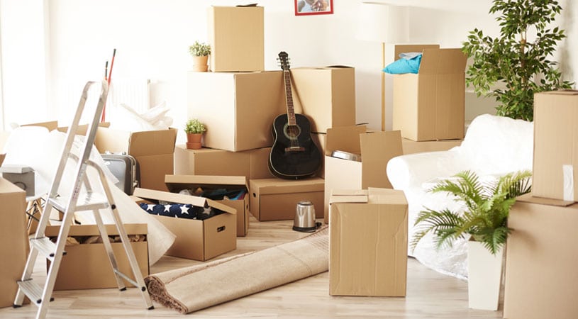 Newcastle Removalists