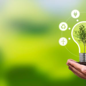 CBN Sustainable Tech Innovations Greening the Business Landscape