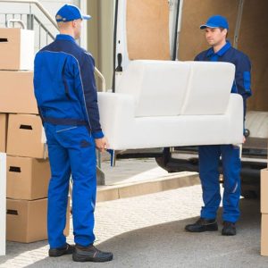 Newcastle-Removalists