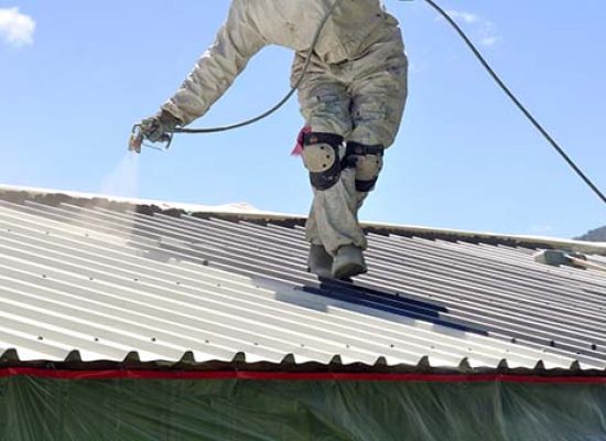Roof-Painting